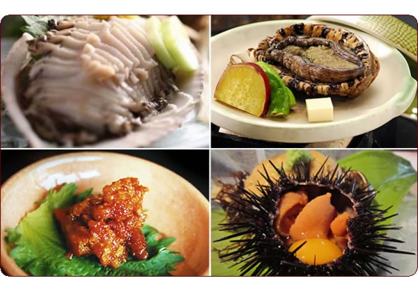 越前のお造り盛り合わせ