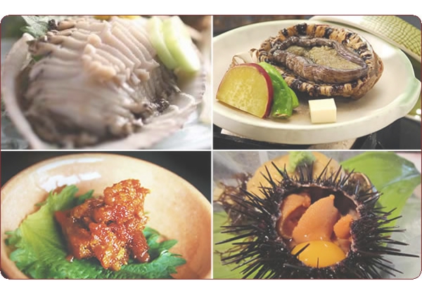 越前のお造り盛り合わせ